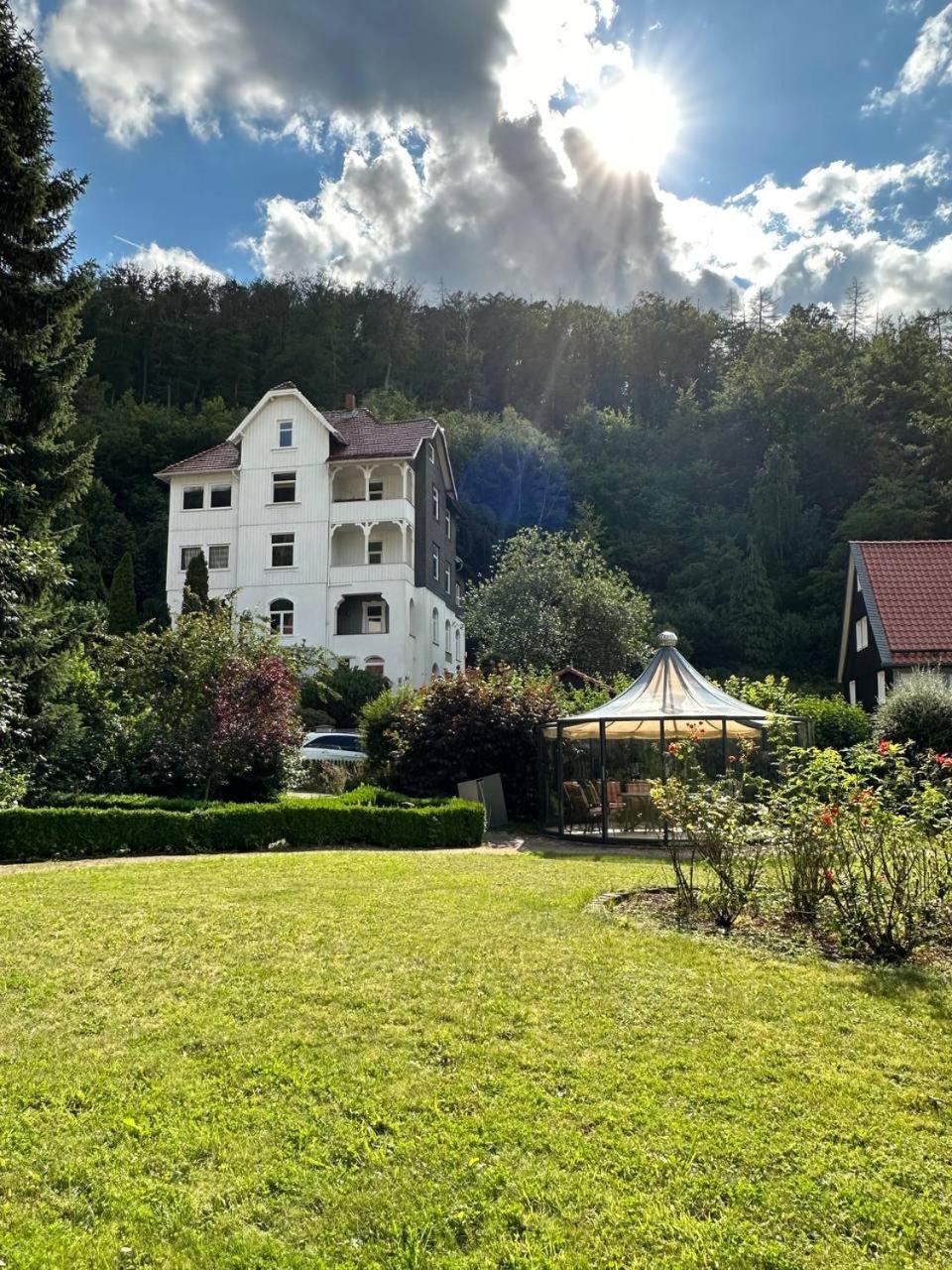 Apartment Krodo Am Burgberg *